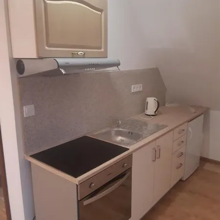 Alex S Bazenom Guest house *